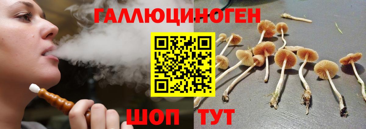 Елец  Псилоцибиновые грибы GOLDEN TEACHER  Псилоцибиновые грибы MAGIC MUSHROOMS  купить наркотики сайты  Вход с VPN 